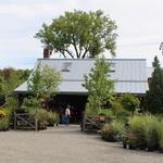 Windy Hill Farm