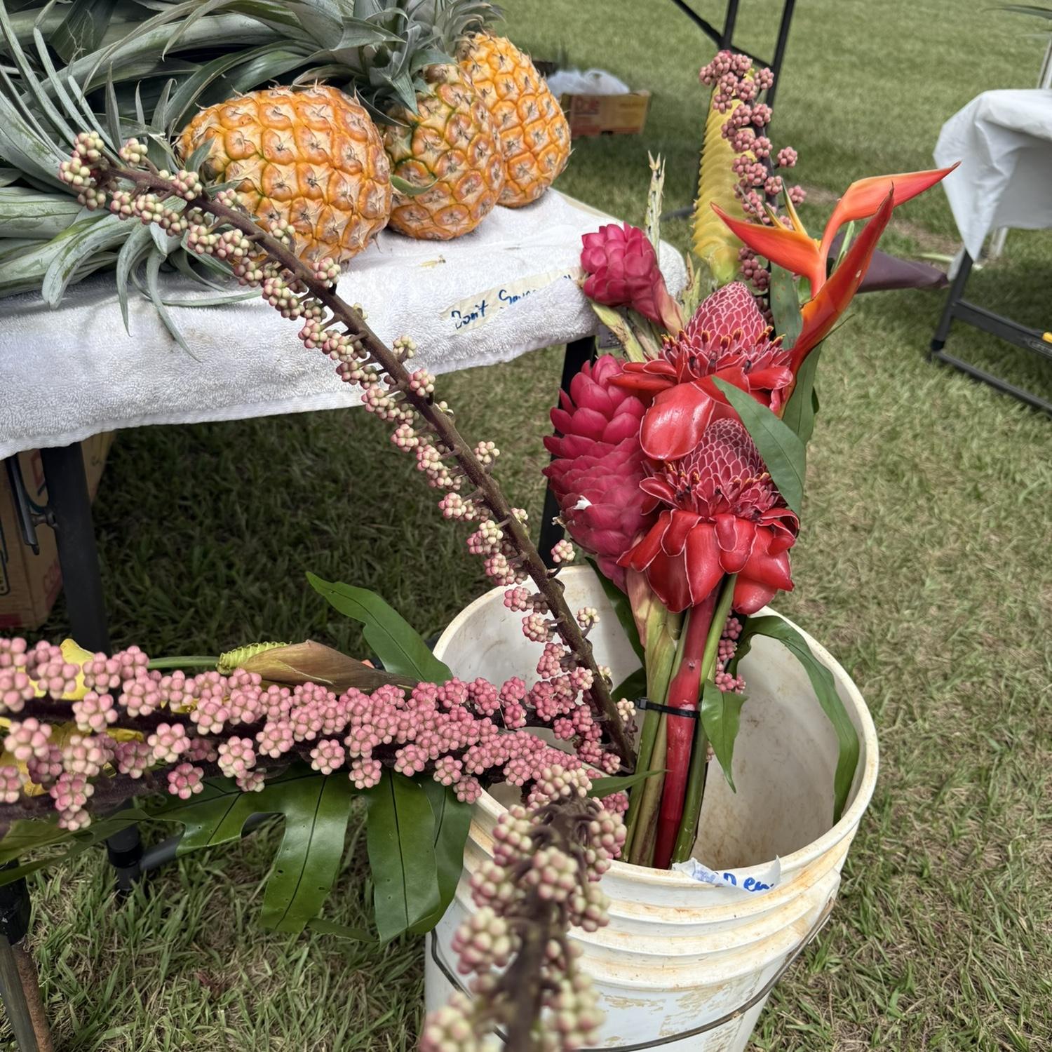 We LOVED all the florals & fruits/veggies in Kauai!