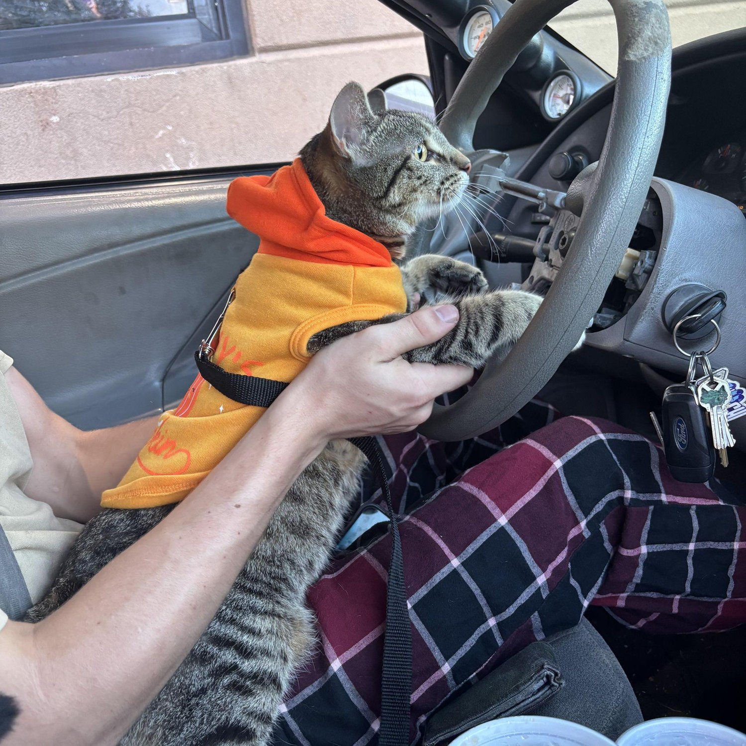 Miss driving for the first time