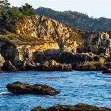 Point Lobos State Natural Reserve