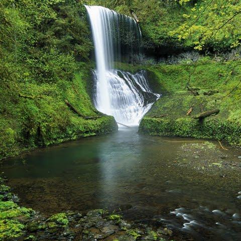 Another pic of beautiful Oregon. We swam in this
