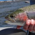 Ark Anglers