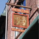 The Ugly Dog Public House- Highlands