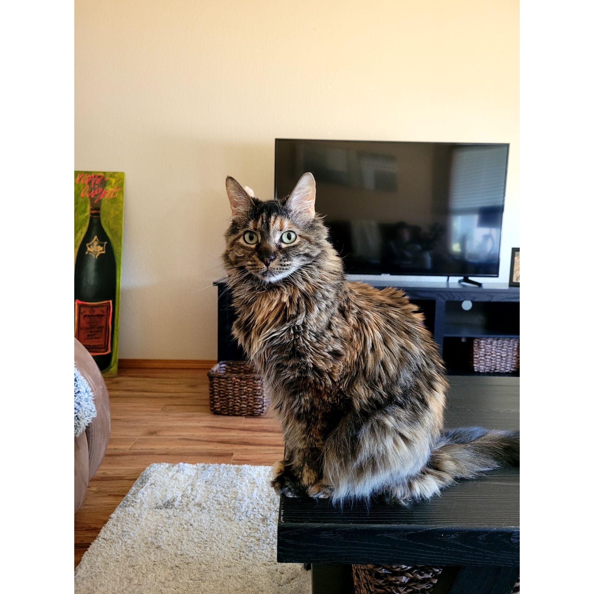 Mila