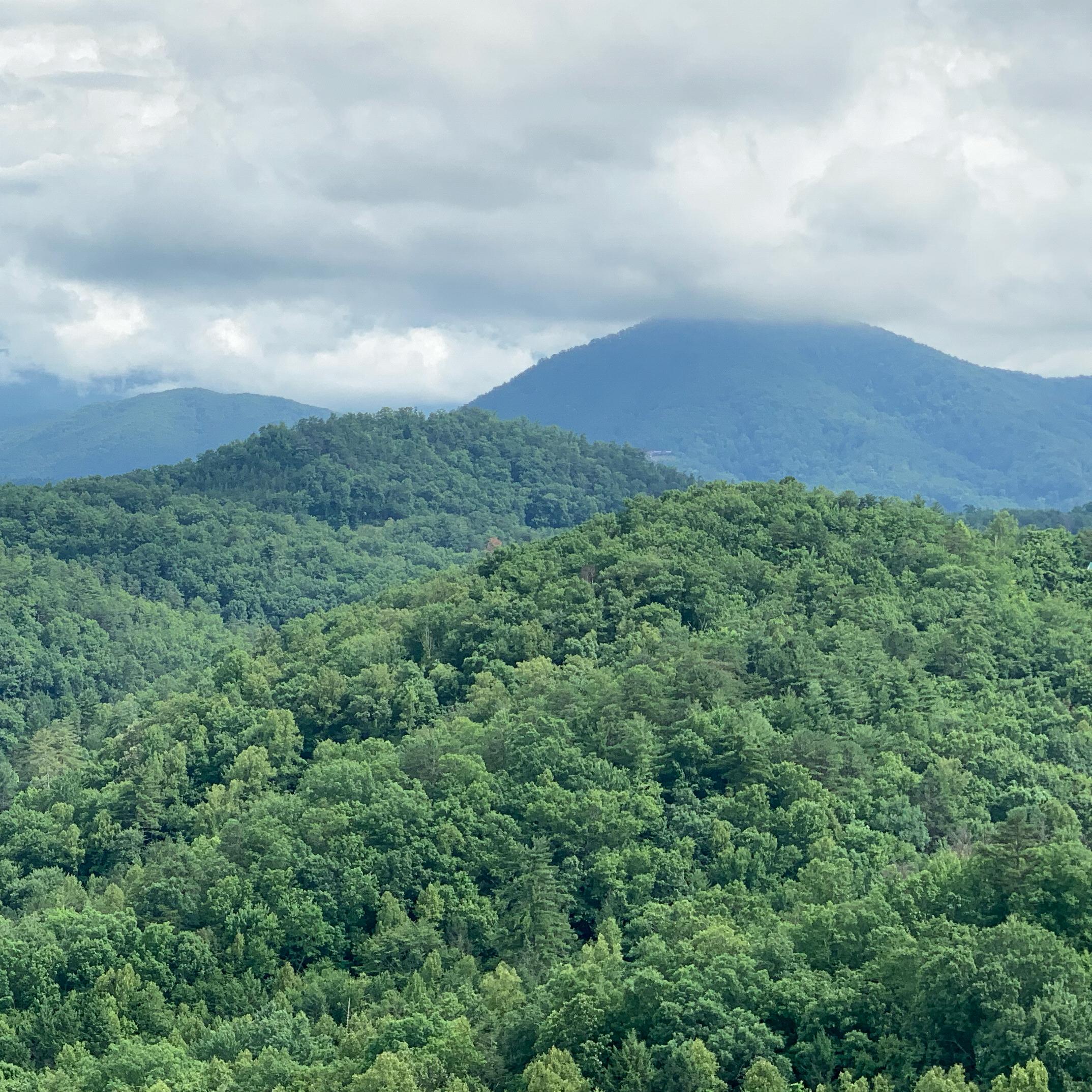 Honeymoon to Gatlinburg