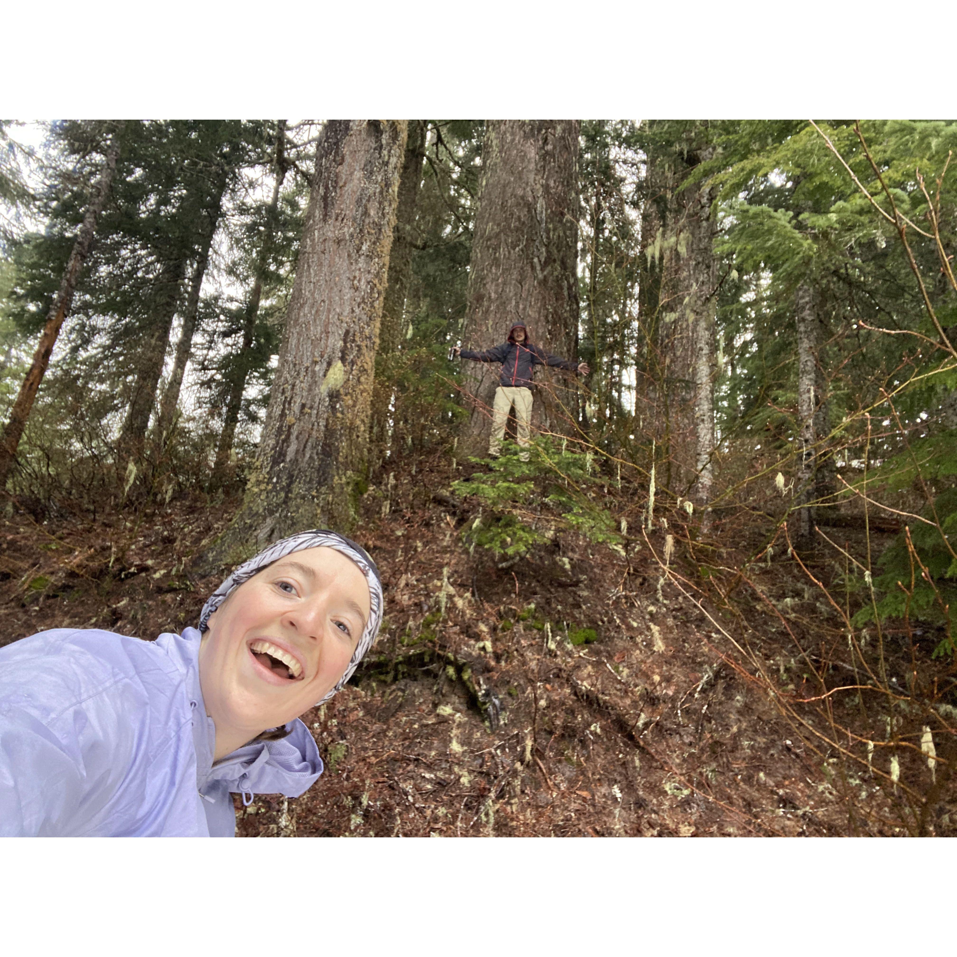 WA trees are awesome!