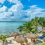 Swimming with Sea Turtles in Akumal