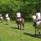 Birr Equestrian Centre