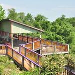 Forks of Cheat Winery