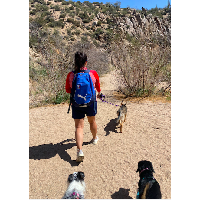 Cave Creek, Arizona - March 2021