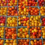 Dorset Farmers Market