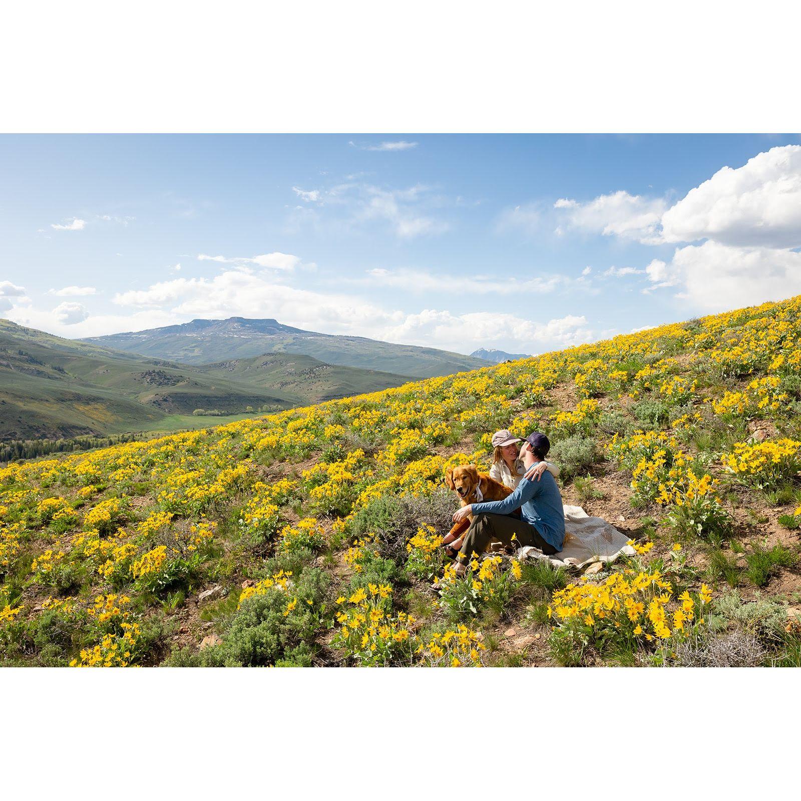 Hanging out in a wildflower field after the proposal outside of Crested Butte, CO
[May 2023]