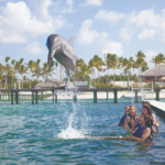 Punta Cana Excursions
