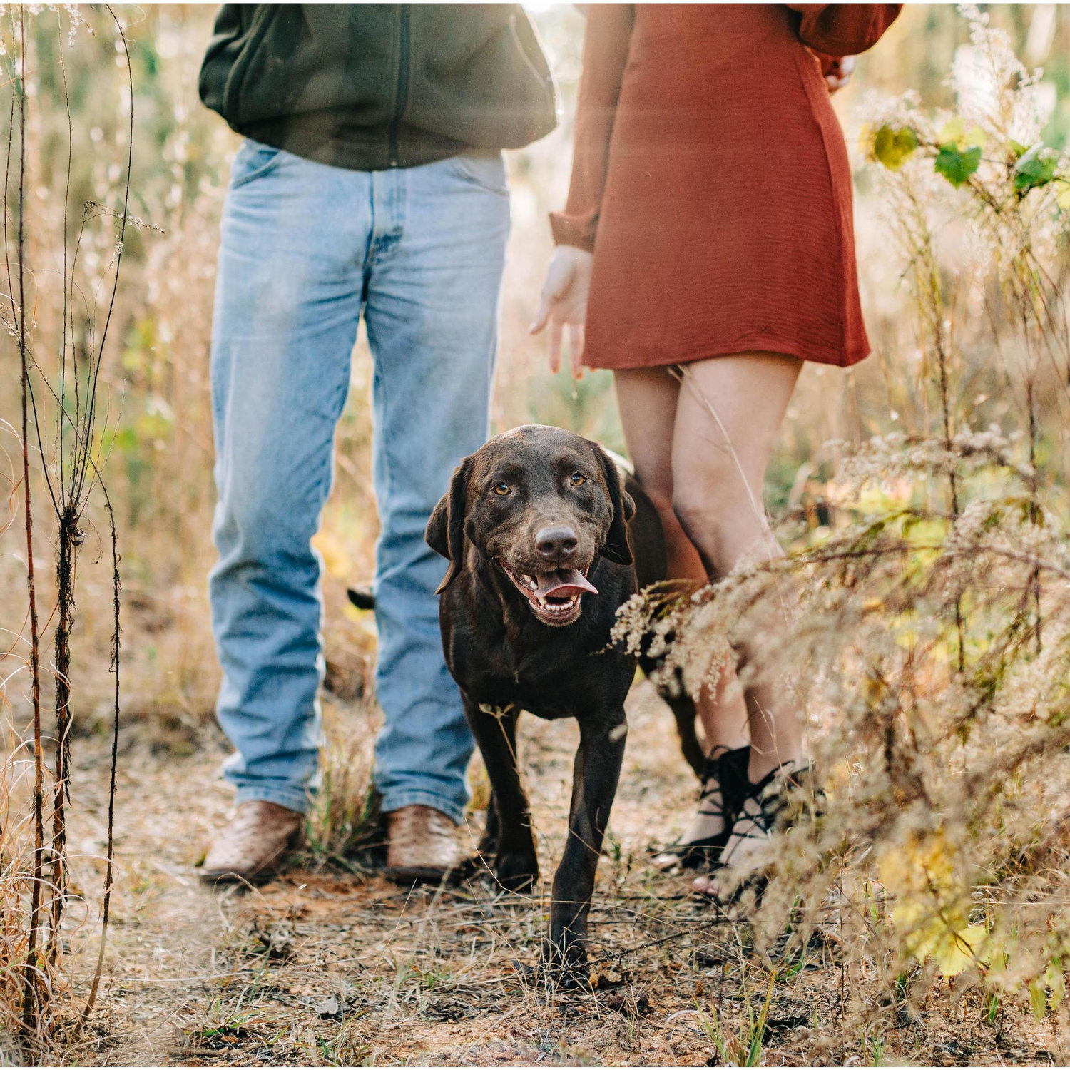 Engagement Pictures, 2021