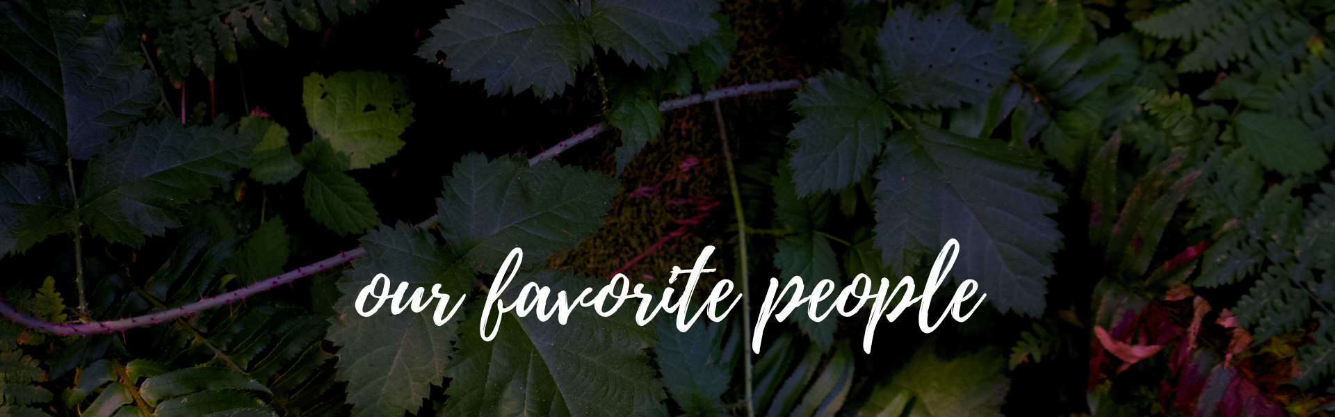 The Wedding Website of Emily Reed and Cameron Thomas