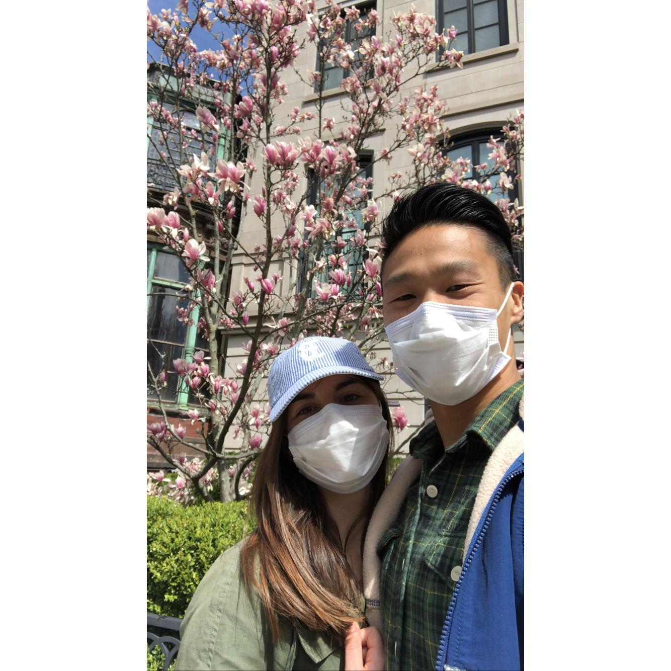 Roaming the Boston streets during the pandemic in 2020!
