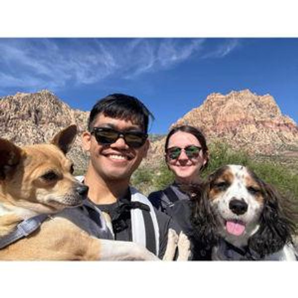 Pet Hotel For Our Honeymoon