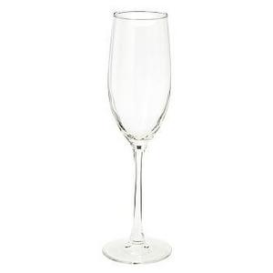 Caterers Box Flute, Set of 12