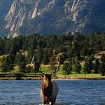 Rocky Mountain National Park