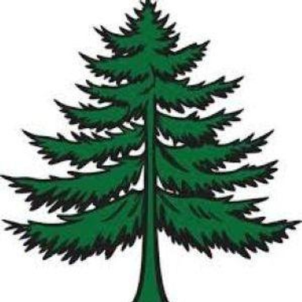 Charity Donation to Minnesota Land Trust - any amount