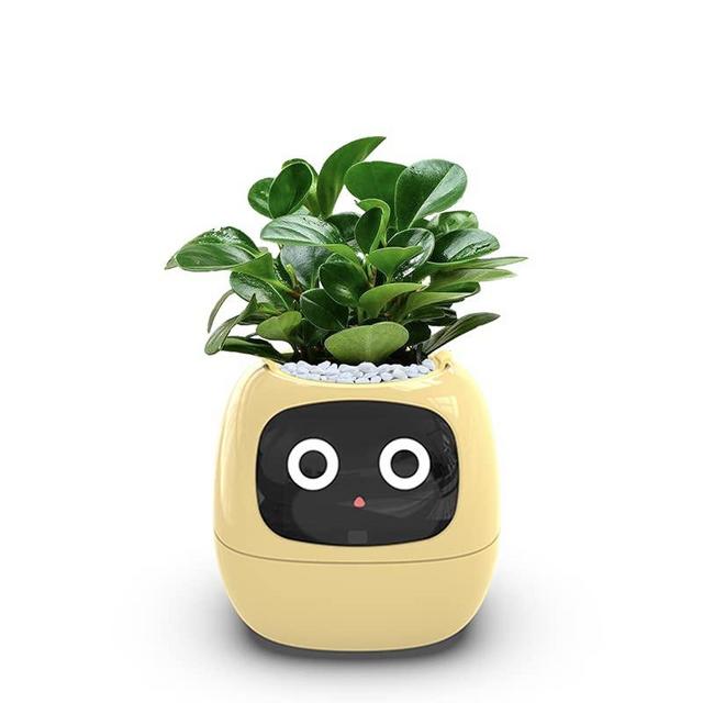 Itigoitie Smart Flowerpots,Smart Pet Planter,Ai Planter,Intelligent Flowerpots,Multiple Expressions,7 Smart Sensors, and Ai Chips Make Raising Plants Easy and Fun for Living Room,Plant-Free,Yellow