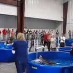The Karen Beasley Sea Turtle Rescue and Rehabilitation Center