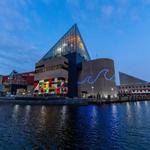 National Aquarium in Baltimore