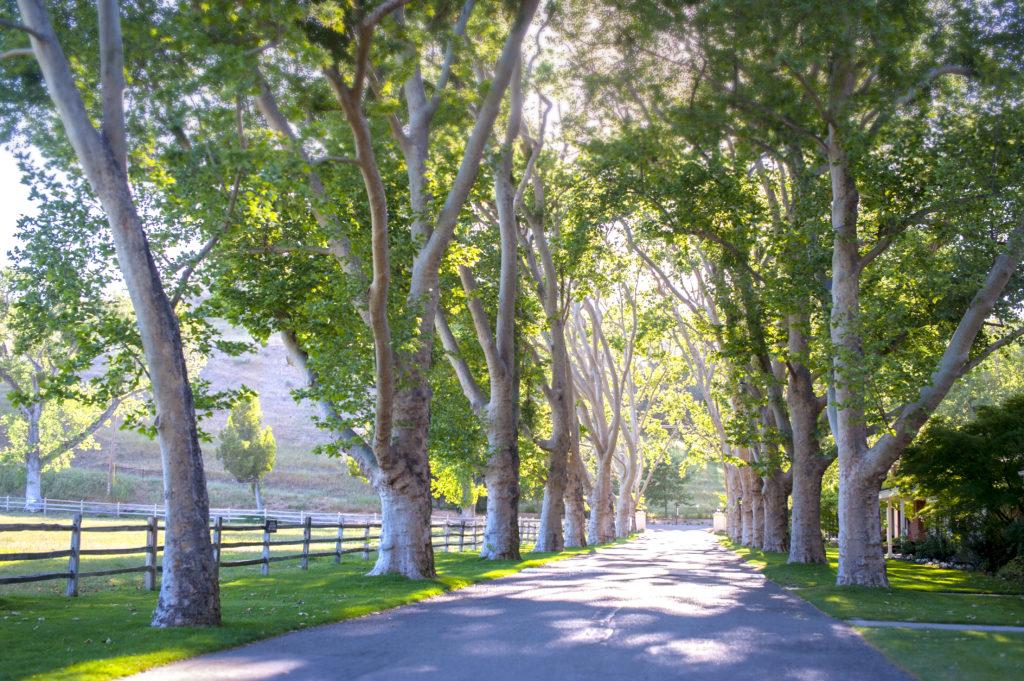 The Wedding Website of Kate Waxler and Matt Devaney