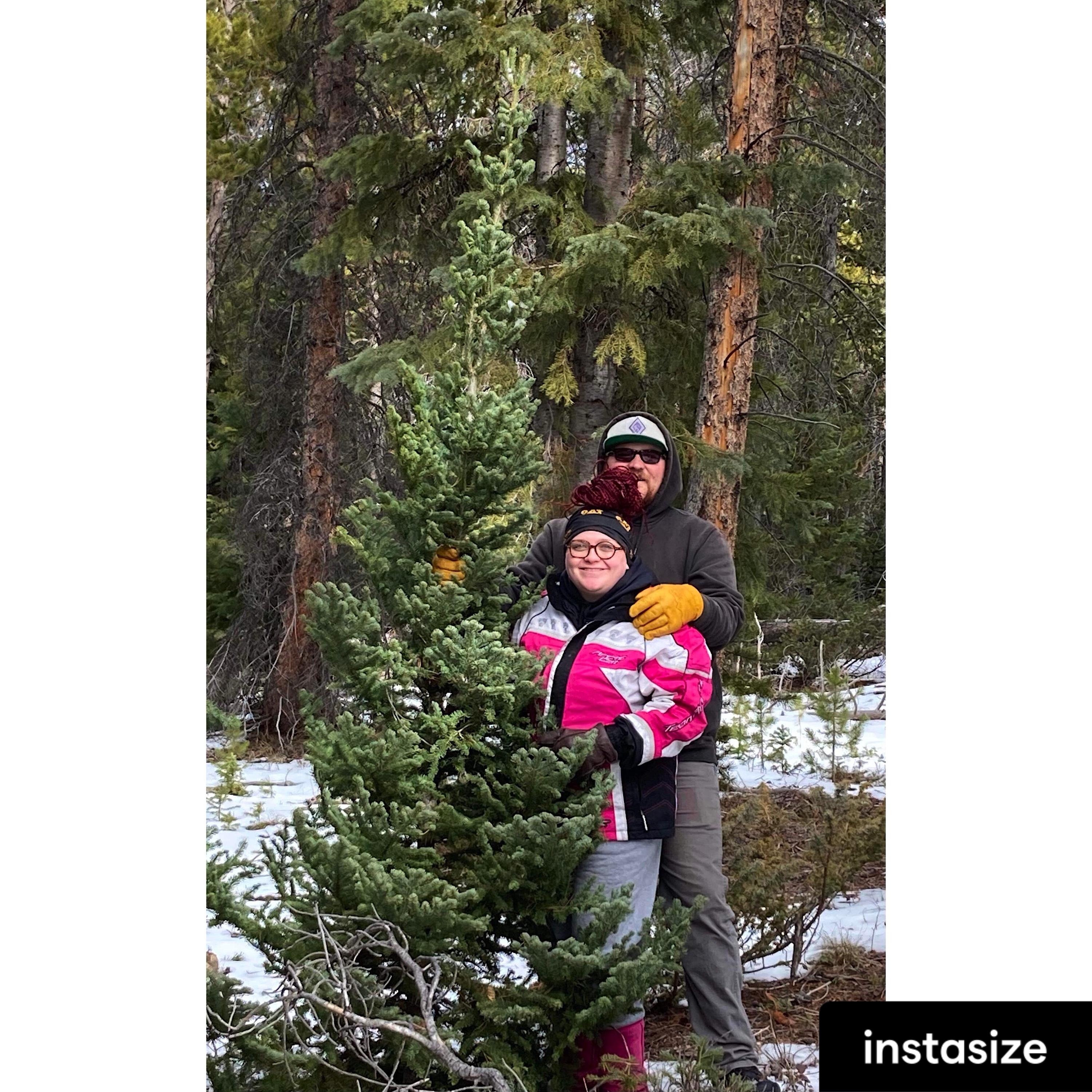 First time Christmas tree hunting together