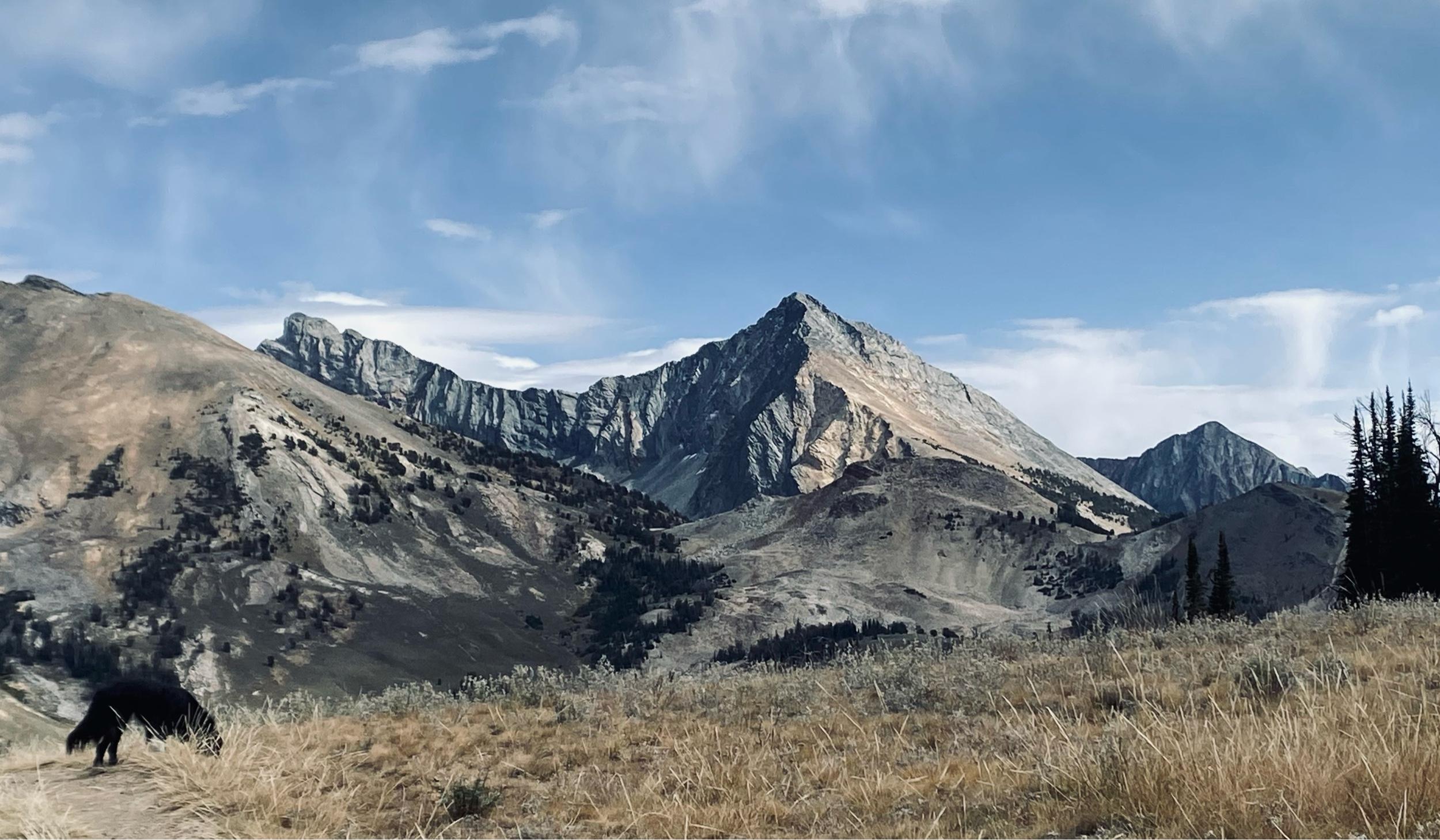 The Wedding Website of Amy L Howell and Taylor Clelland