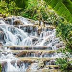 The World Famous Dunn's River Falls & Park