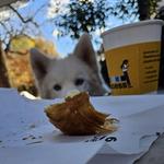 Wine & Butter Cafe & Market