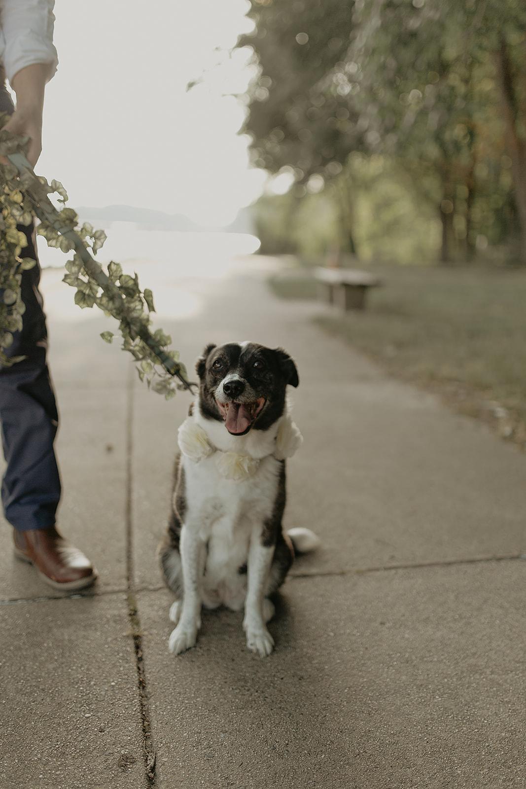 The Wedding Website of Kaileen Dunleavy and Kerry Meyers