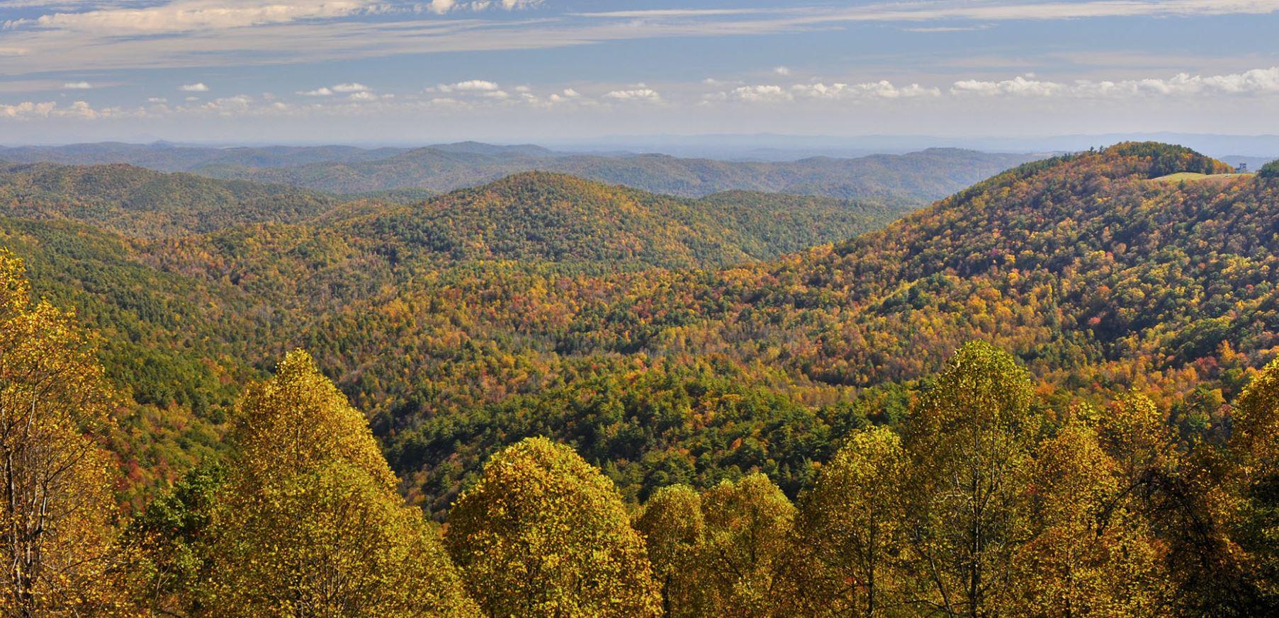 The Wedding Website of Madison Gilhool and Caden Dearborn