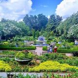 Atlanta Botanical Garden
