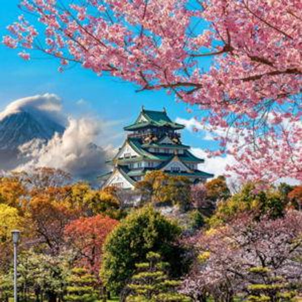 Exploring Japan! Honeymoon Fund