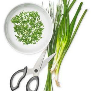 Martha Stewart Collection - Kitchen Shears, Created for Macy's