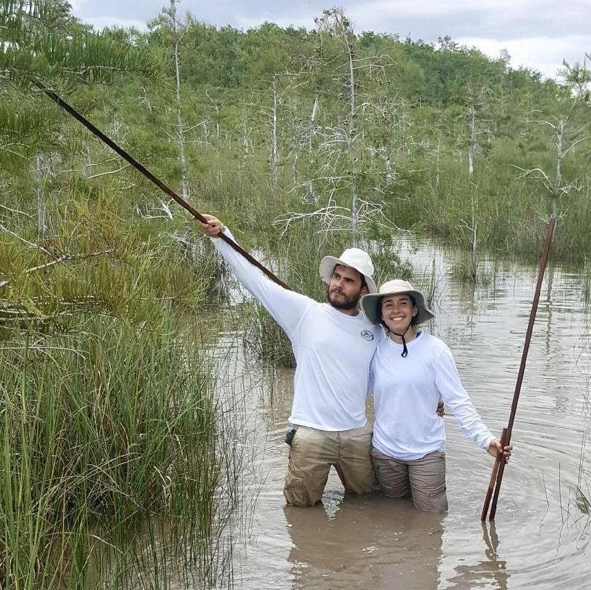 On a swamp walk!