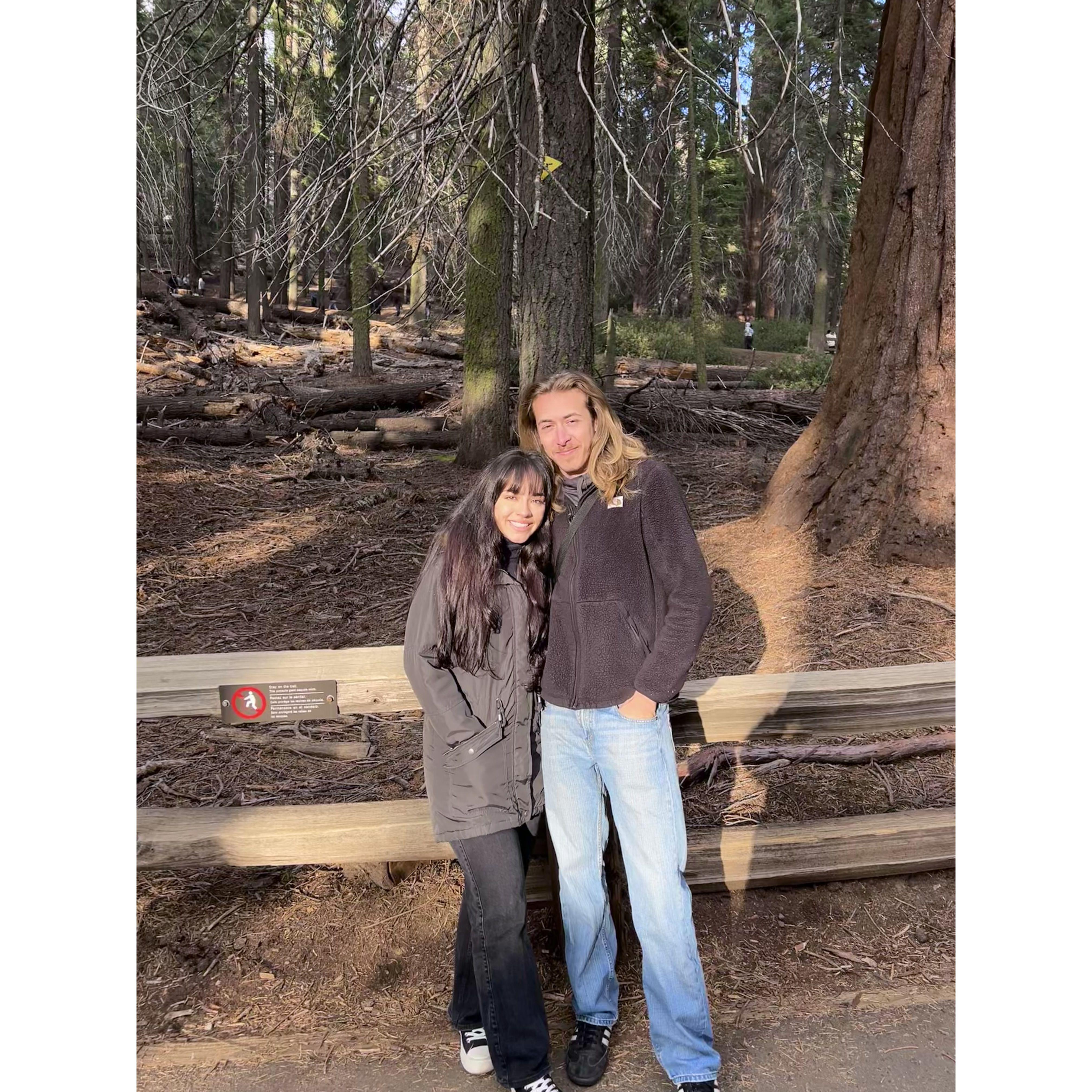 At Sequoia National Park