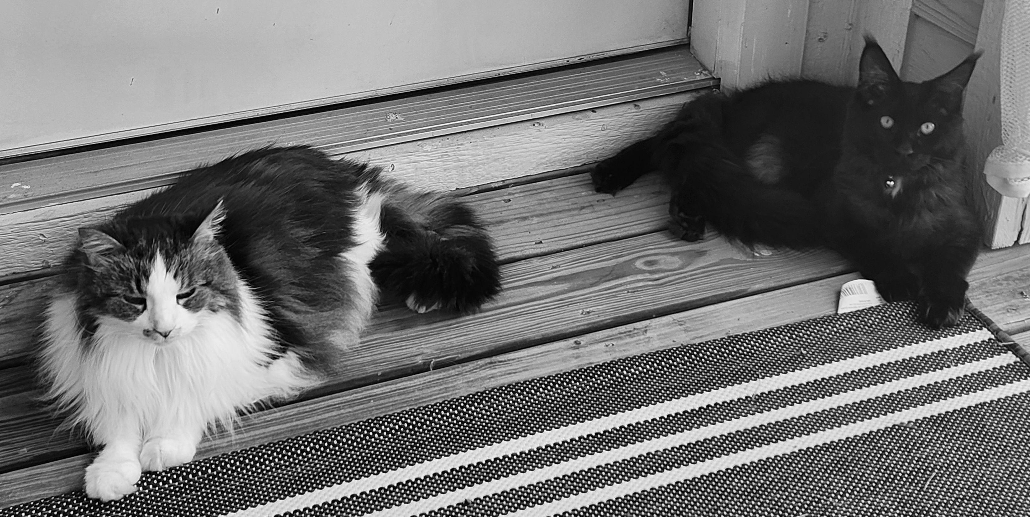 4ae814c1-703e-4c94-ac11-fa799fe2e0d8