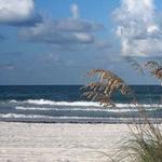 Howard E. Futch Memorial Park at Paradise Beach