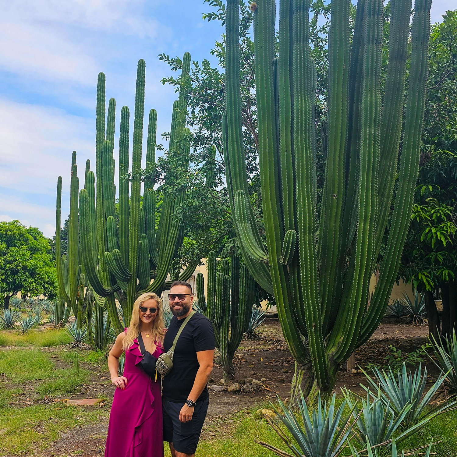 Tequila tasting in Mexico