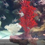 Electric City Aquarium & Reptile Den