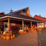 Rock Ridge Orchard
