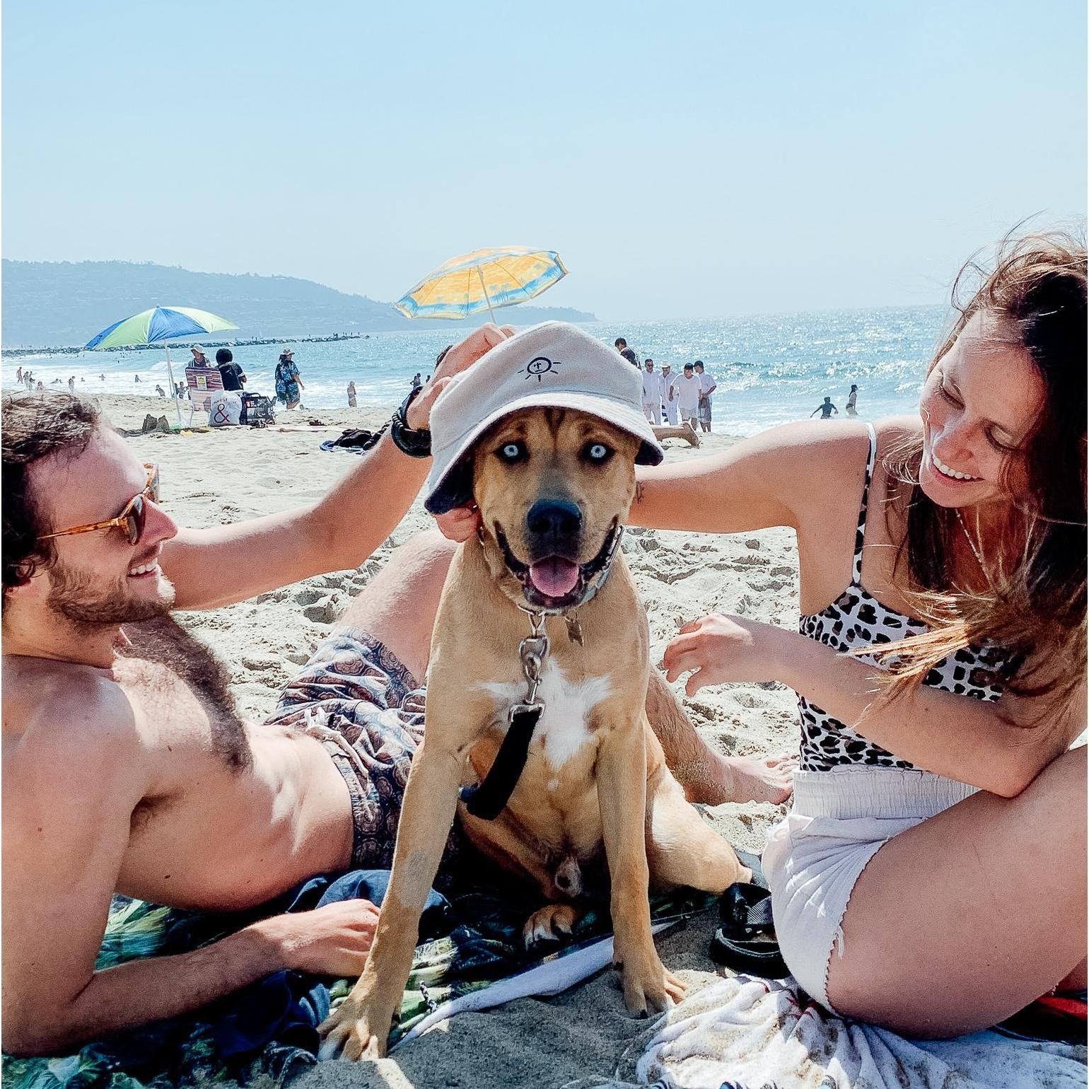 Lots of beaching with Milo + Moose, Redondo Beach, CA (2020)