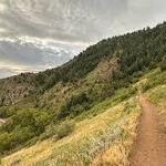 Mount Galbraith Park