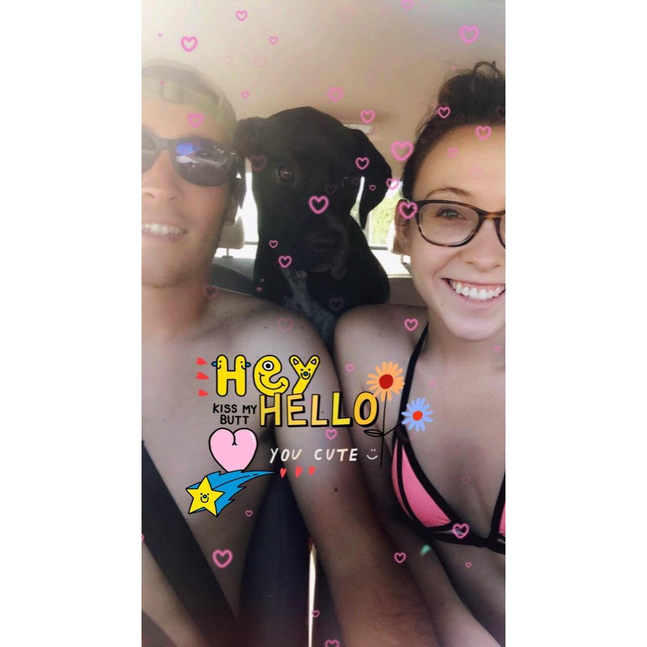 Dog beach trip!
