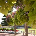 Bissonnette Gardens