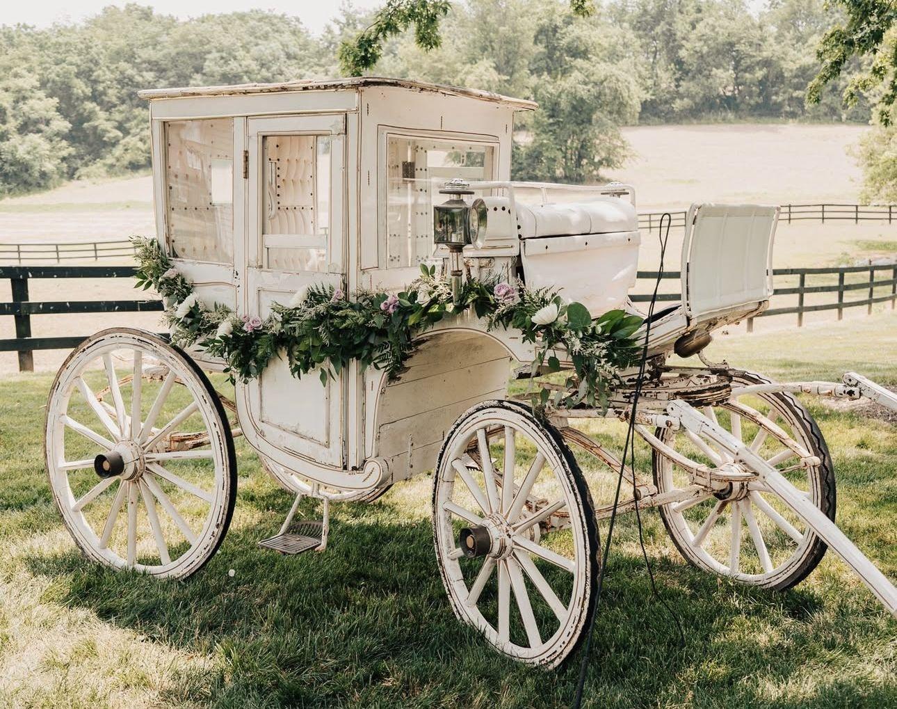The Wedding Website of Lexy Palmisano and Will Mueller