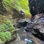 Watkins Glen